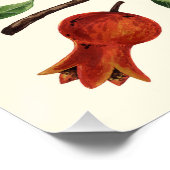 Granatäpfel und Bella Moths auf weißem Boden Poster (Ecke)