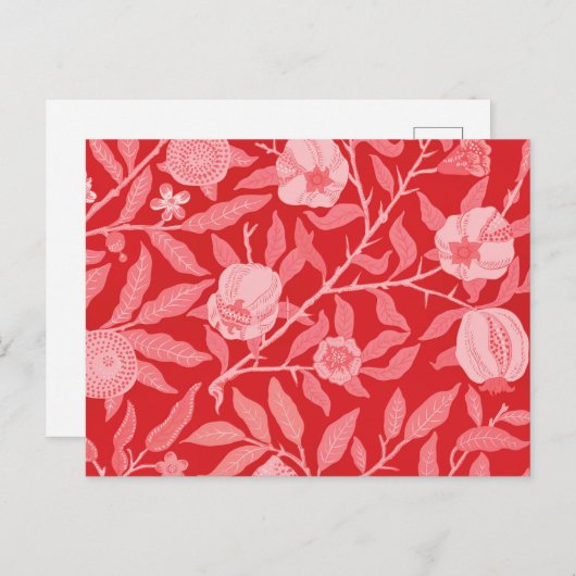 Granatapfel Vintag in Weihnachtsrot Postkarte (Vorne/Hinten)