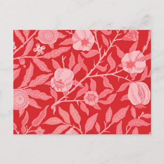 Granatapfel Vintag in Weihnachtsrot Postkarte (Vorderseite)