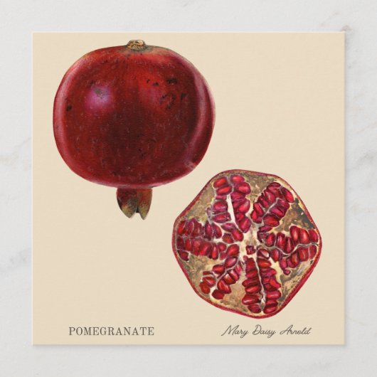 Granatapfel von Mary Daisy Arnold (Vorderseite)