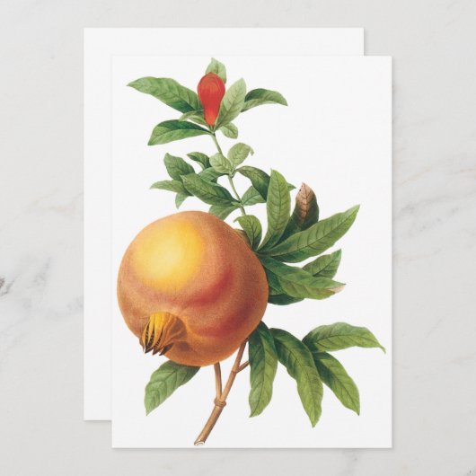 Granatapfel von Redoute Einladung (Vorne/Hinten)