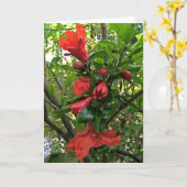 Granatapfelblüten Karte (Gelbe Blume)