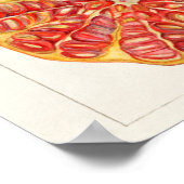 Granatapfele (Punica Granatum) Fruchtmalerei Poster (Ecke)