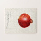 Granatapfele (Punica Granatum) Fruchtmalerei Puzzle (Horizontal)