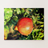 Granatapfelfrucht Puzzle (Horizontal)