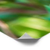 Granatbaum Poster (Ecke)