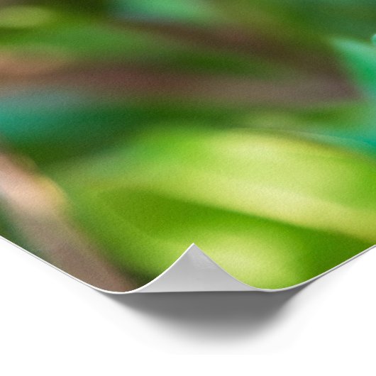 Granatbaum Poster (Ecke)