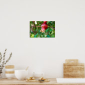 Granatbaum Poster (Küche)