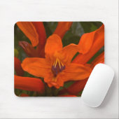 Granatblüter Mousepad (Mit Mouse)