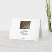 Granatmalerei Karte (Rückseite)