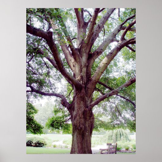 Grand1 Poster (Vorne)