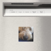 Grand Basset Griffon Magnet (In Situ (Geschirrspüler))