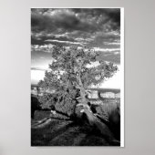 Grand Canyon 03 Poster (Vorne)