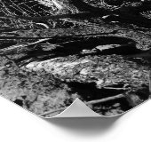 Grand Canyon #1 Poster (Ecke)