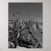 Grand Canyon #1 Poster (Vorne)