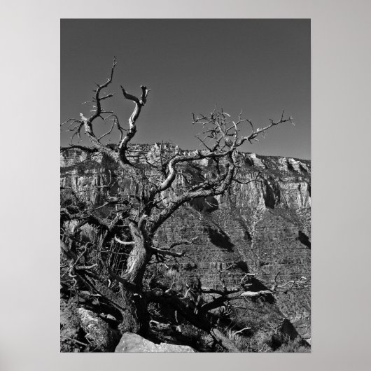 Grand Canyon #1 Poster (Vorne)