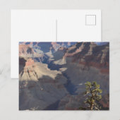 Grand Canyon (5) Postkarte (Vorne/Hinten)