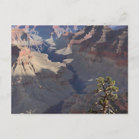 Grand Canyon (5) Postkarte (Vorderseite)