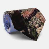 Grand Canyon, Arizona Krawatte (Gerollt)