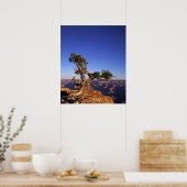 Grand Canyon, Arizona, USA Poster (Küche)