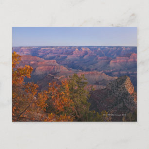 Grand Canyon bei Sunrise Postkarte