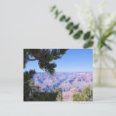 Grand Canyon - Blick durch die Pines - Postkarte (Stehend Vorderseite)