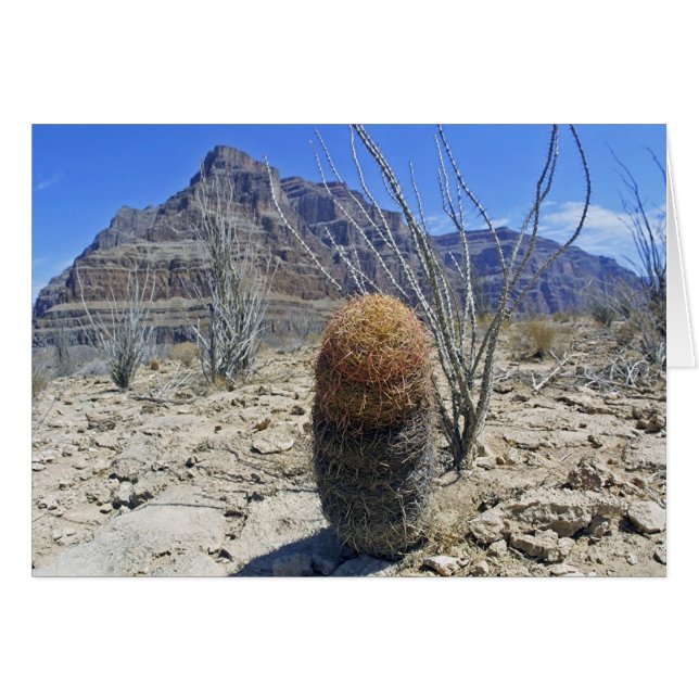 Grand Canyon Blume (Vorderseite (Horizontal))