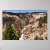Grand Canyon des Yellowstone Poster (Vorne)