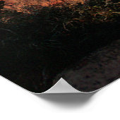 Grand Canyon Flora Poster (Ecke)