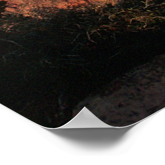 Grand Canyon Flora Poster (Ecke)