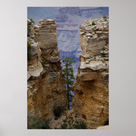 Grand Canyon Hidden Tree 4822 Print Poster (Vorne)