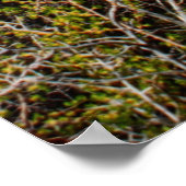 Grand Canyon Klippenseite Wüstenblick Drive Poster (Ecke)