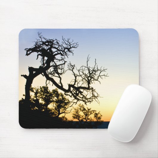Grand Canyon Mousepad (Mit Mouse)