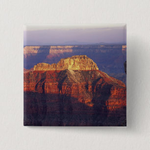 Grand Canyon National Park, Arizona, USA. Button