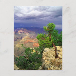 Grand Canyon National Park, Arizona, Vereinigte St Postkarte