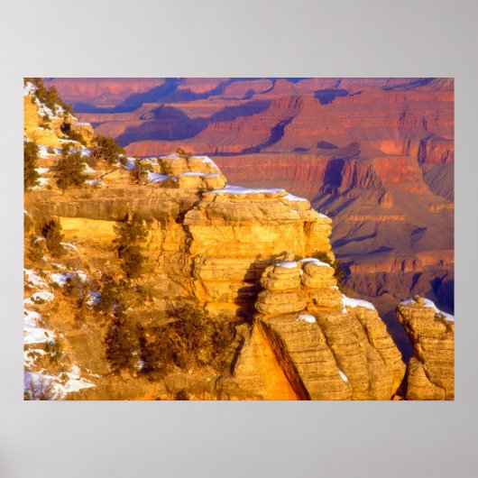 Grand Canyon Nationalpark im Winter Poster (Vorne)