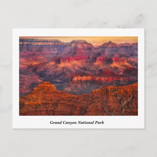Grand Canyon Nationalpark Postcard Postkarte (Vorderseite)