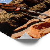 Grand Canyon Nationalpark Poster (Ecke)