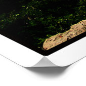 Grand Canyon North Rim Poster (Ecke)