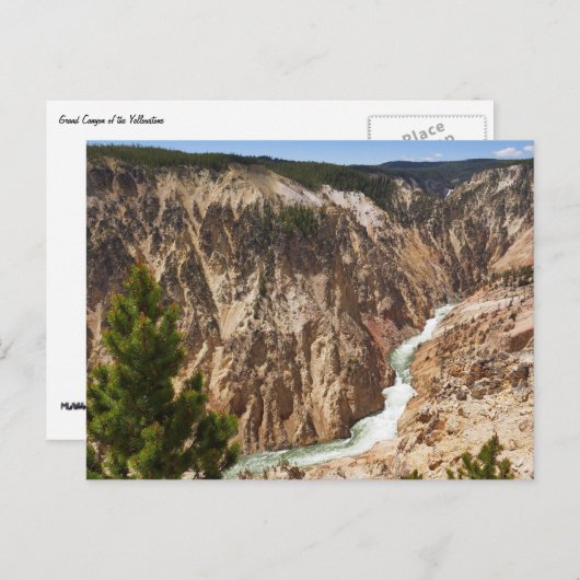 Grand Canyon of the Yellowstone Postkarte (Vorne/Hinten)