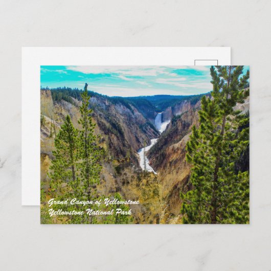 Grand Canyon of Yellowstone Postkarte (Vorne/Hinten)