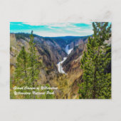 Grand Canyon of Yellowstone Postkarte (Vorderseite)