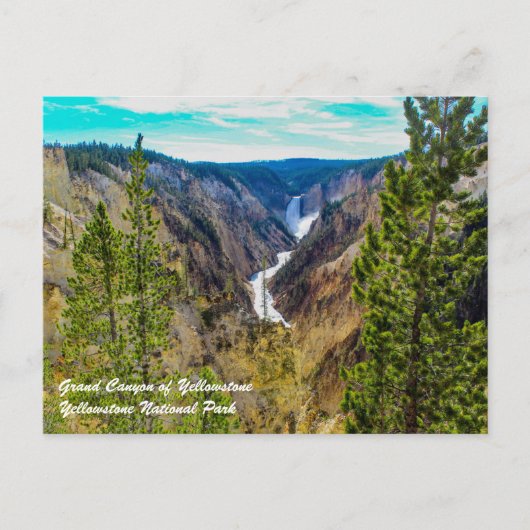 Grand Canyon of Yellowstone Postkarte (Vorderseite)