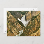 Grand Canyon of Yellowstone Postkarte (Vorne/Hinten)