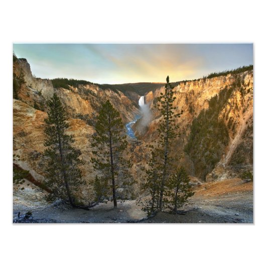 Grand Canyon of Yellowstone, Yellowstone Fotodruck (Vorne)