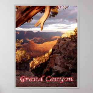 Grand Canyon - Panorama - Vereinigte Staaten - Poster