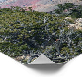Grand Canyon Panoramic Poster (Ecke)