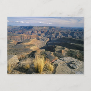 Grand Canyon-Parashant National Monument, 2 Postkarte