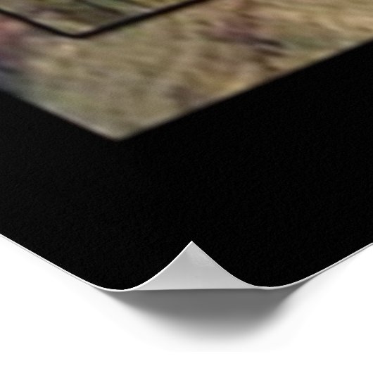 Grand Canyon Park Poster (Ecke)