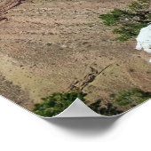 Grand Canyon Poster (Ecke)